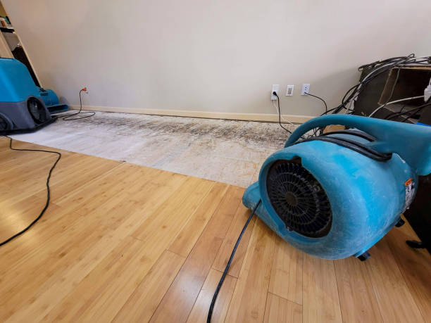 Professional Water Damage Repair technician working in Smithfield, UT
